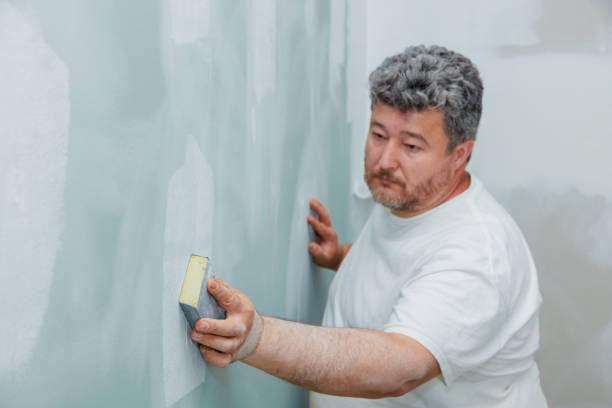 Best Asbestos and Lead Testing During Mold Inspection  in Merkel, TX